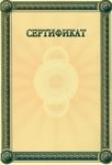 Сертификат лист второй 